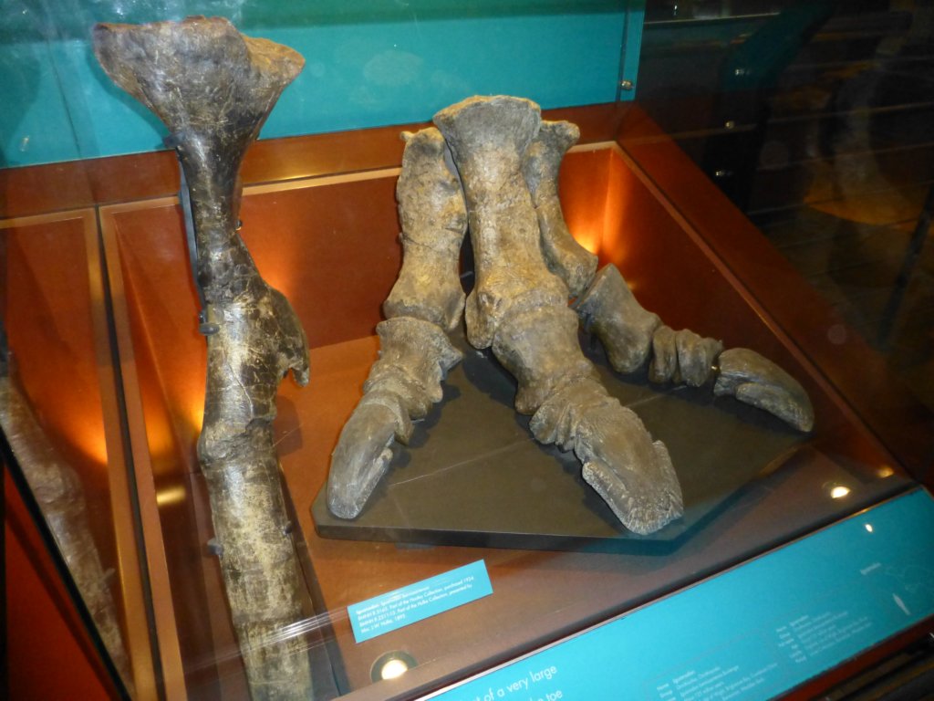 photo30.jpg
