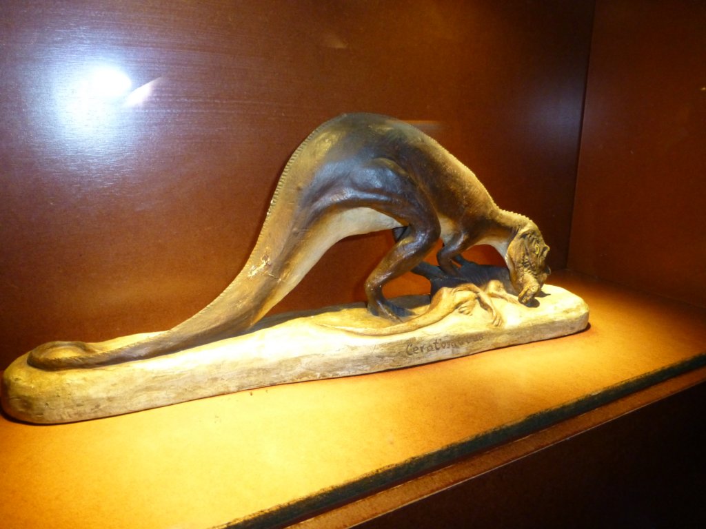 photo33.jpg