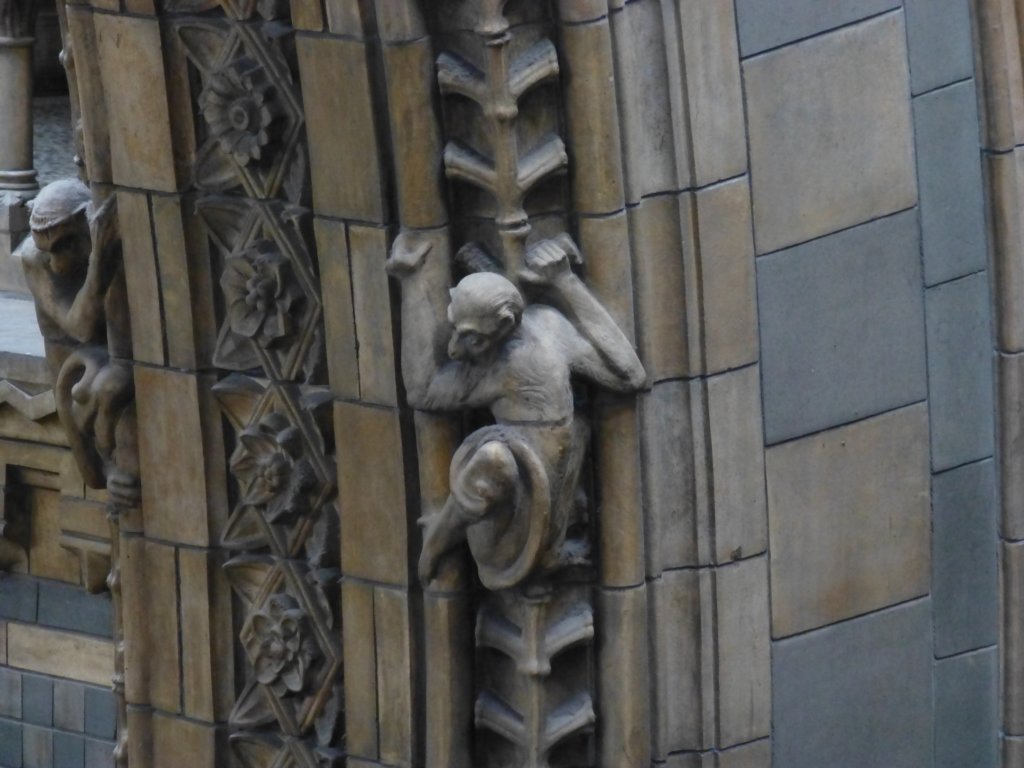 photo61.jpg