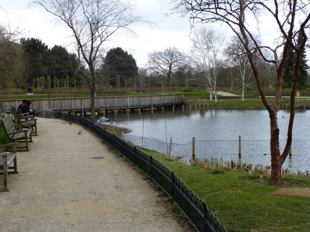 regentspark11.jpg