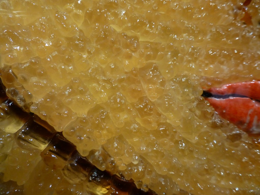photo39.jpg
