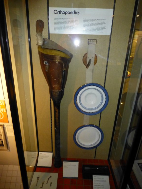 photo46.jpg