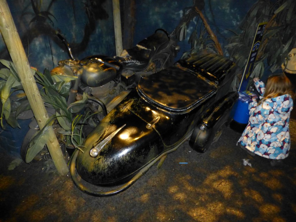 sealifelondonaquarium50.jpg