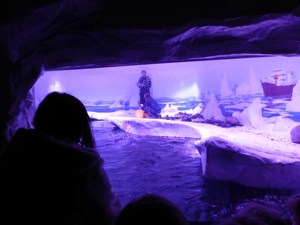 sealifelondonaquarium58.jpg