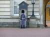 buckinghampalace4_small.jpg