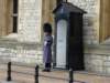 toweroflondon19_small.jpg