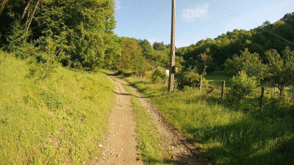 photo40.jpg