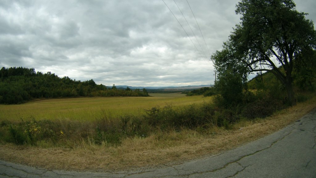 photo29.jpg
