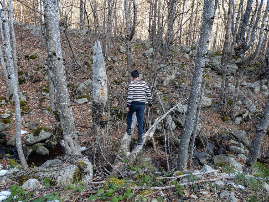 photo2.jpg