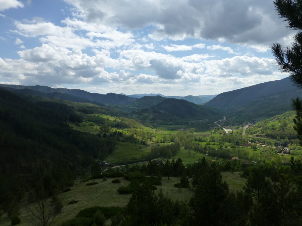 golubici4.jpg