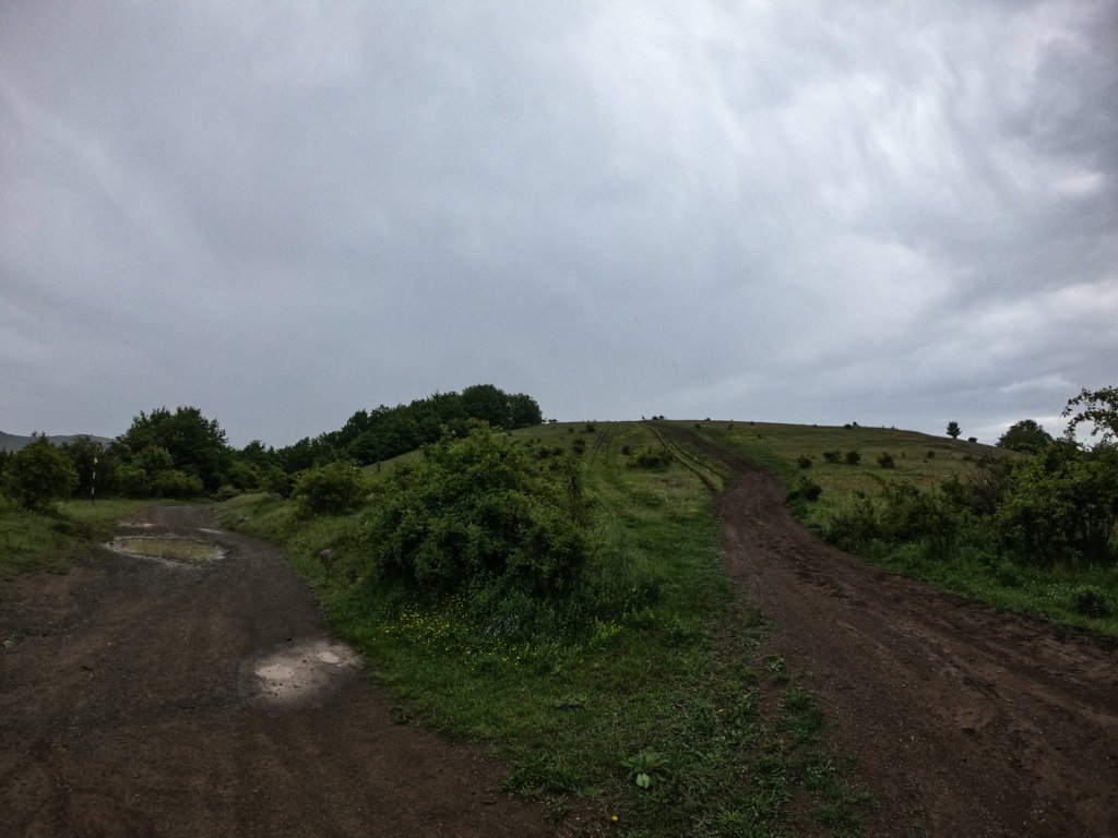 photo5.jpg