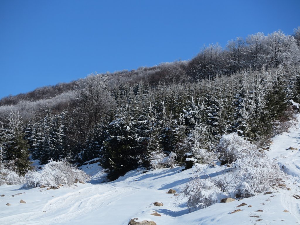 photo7.jpg