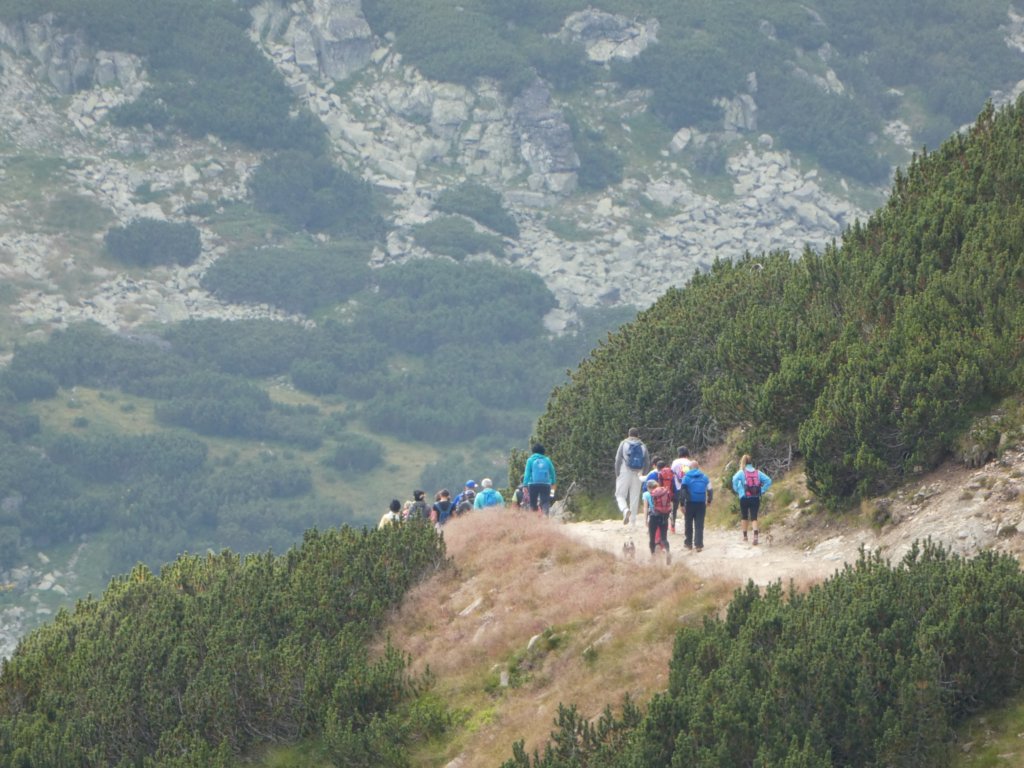 photo15.jpg