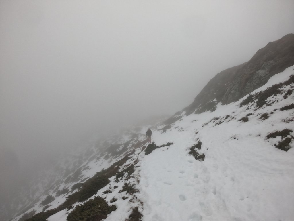 photo83.jpg