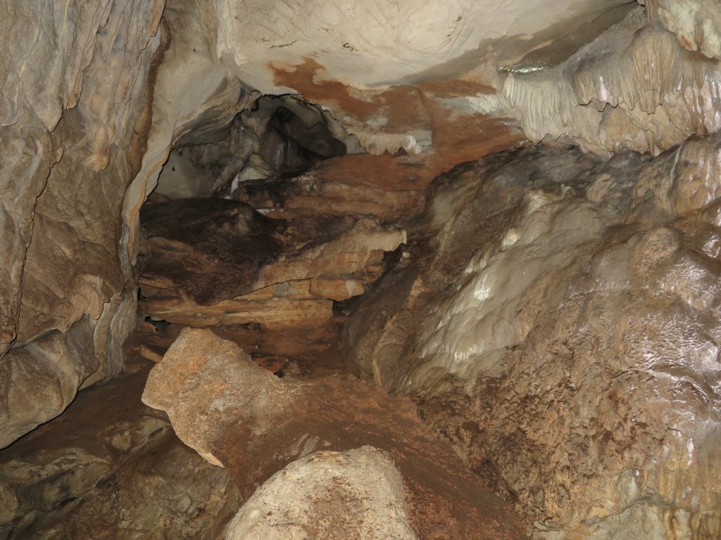 photo26.jpg