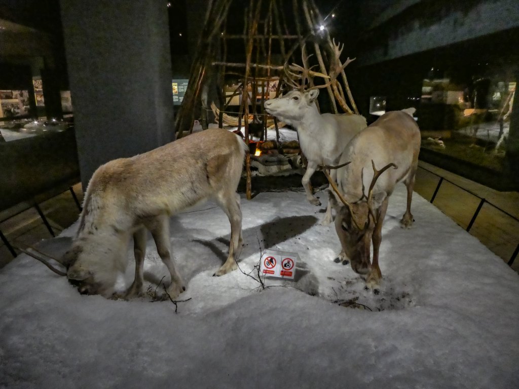 arktikumrovaniemi13.jpg