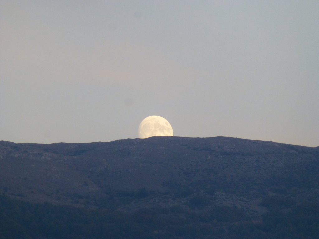 photo85.jpg