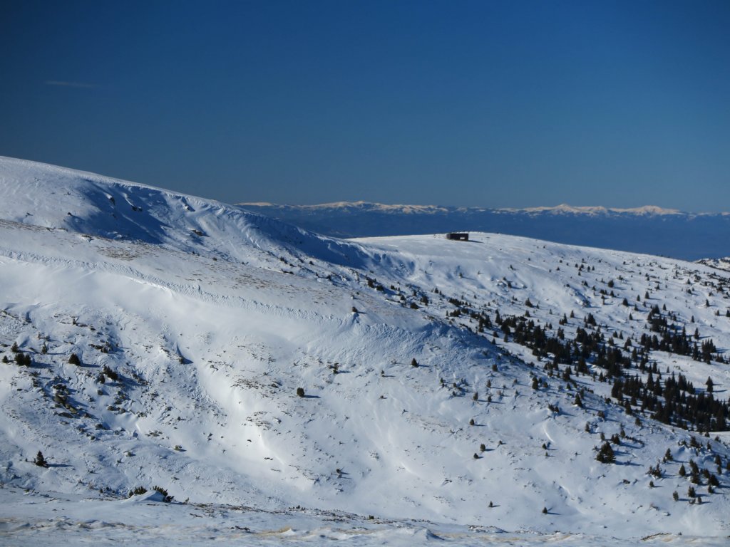 photo23.jpg