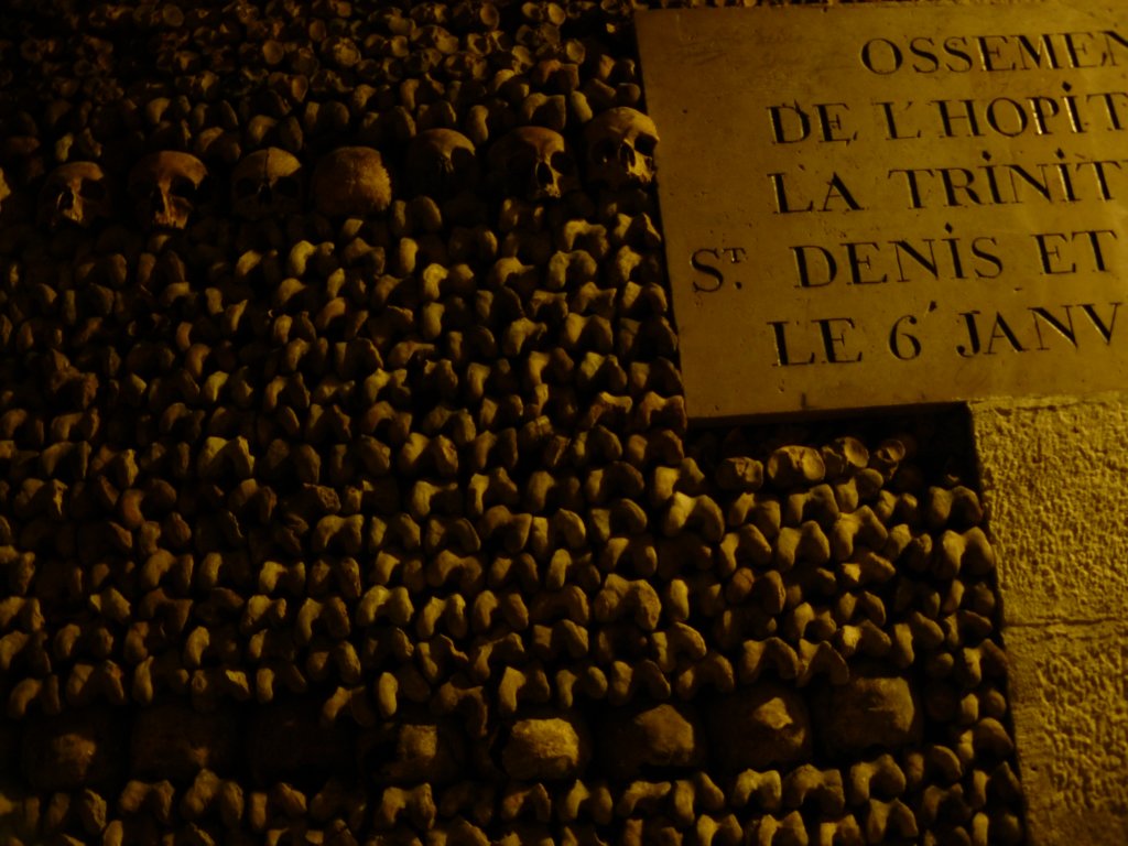 photo23.jpg