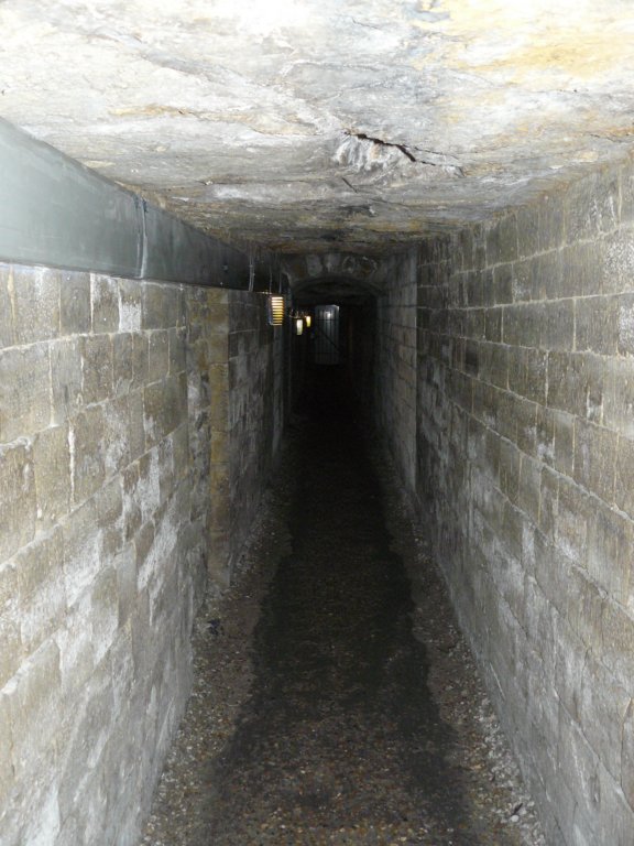 photo4.jpg