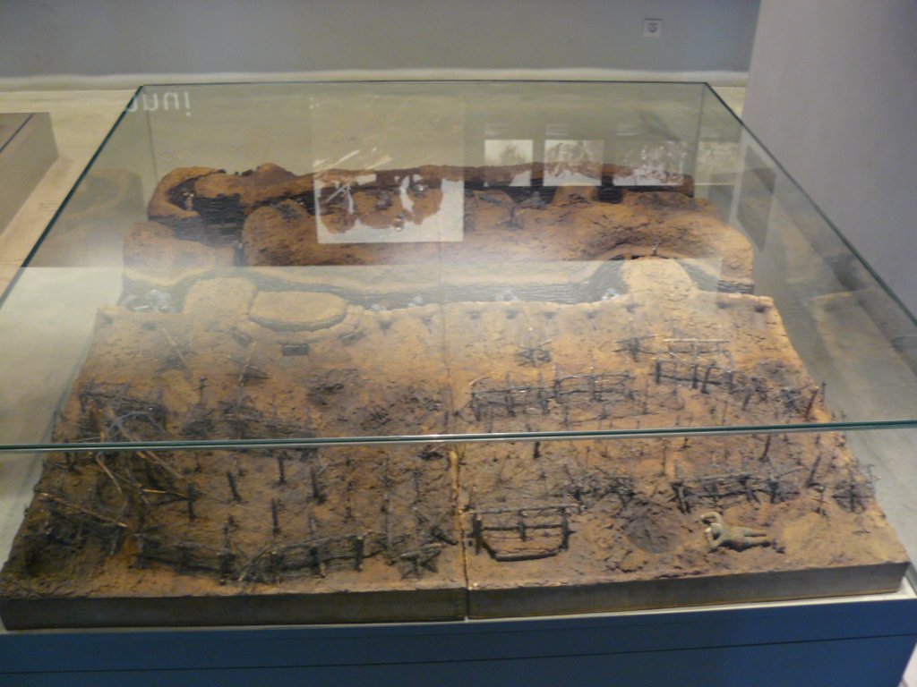 photo21.jpg
