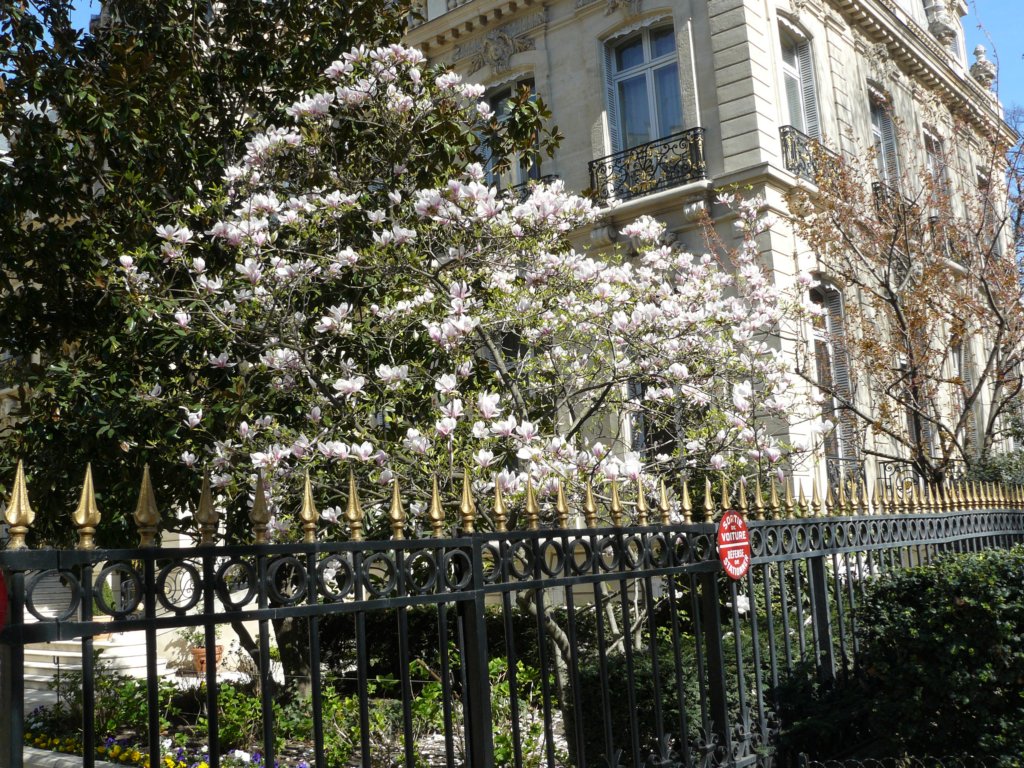 photo9.jpg