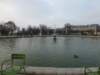 jardindestuileries3_small.jpg