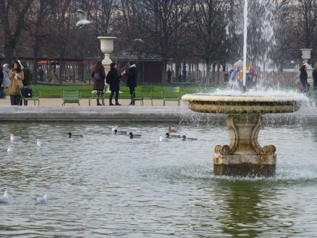 jardindestuileries4.jpg