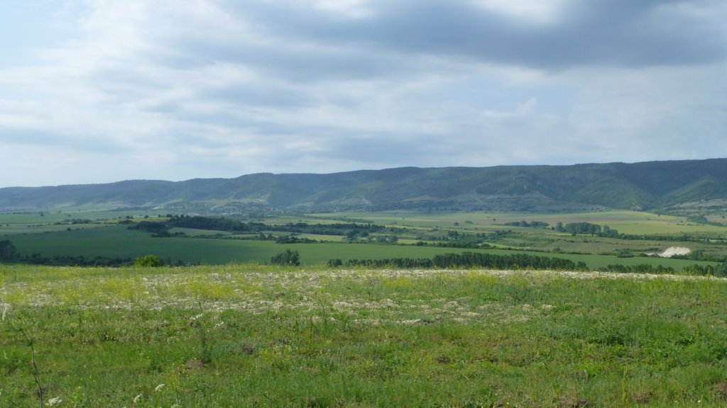 photo36.jpg
