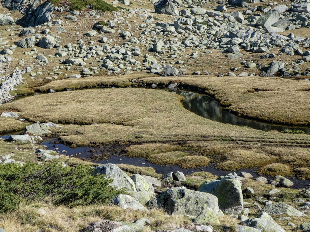 photo89.jpg