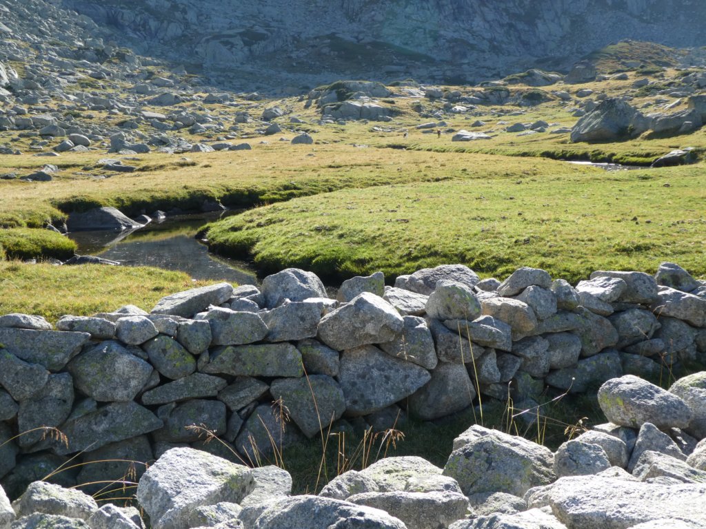 photo65.jpg