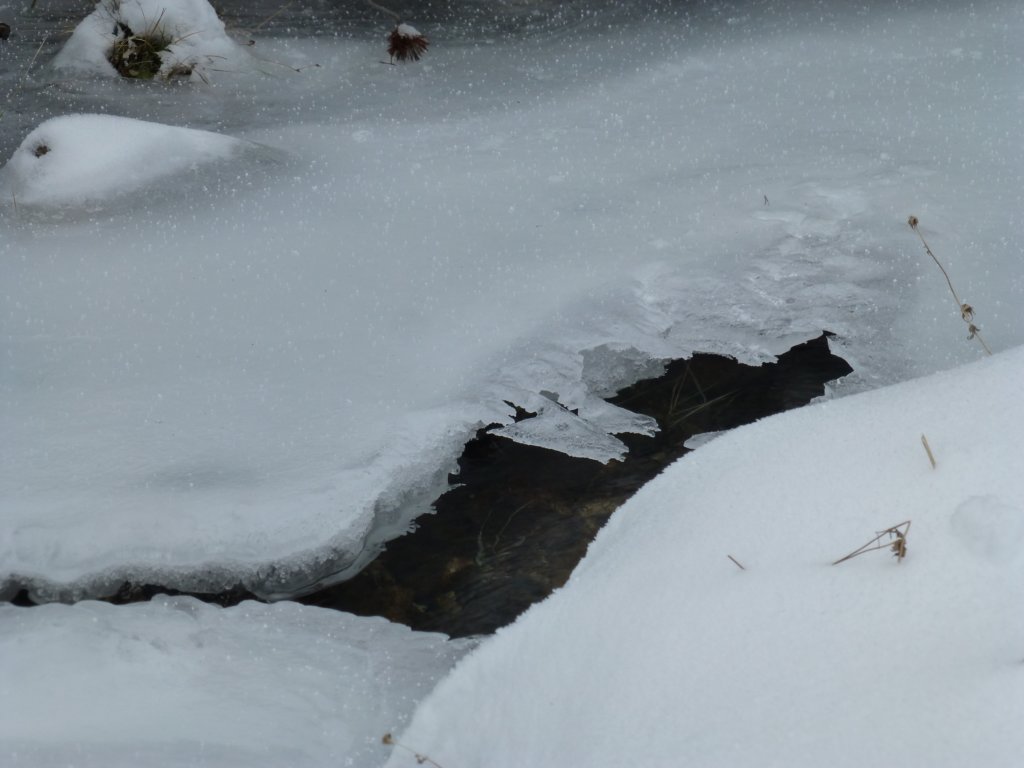 photo70.jpg