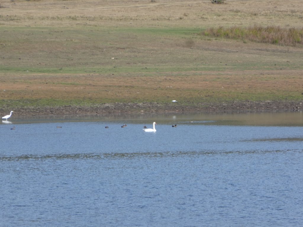 photo20.jpg