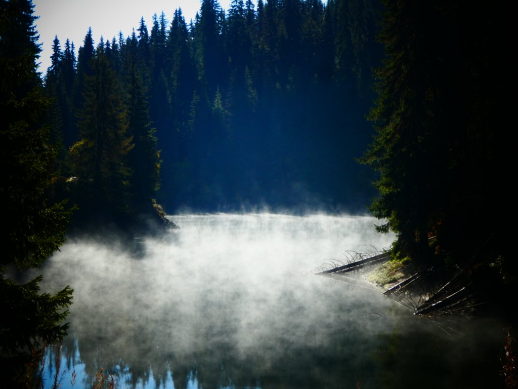 photo60.jpg