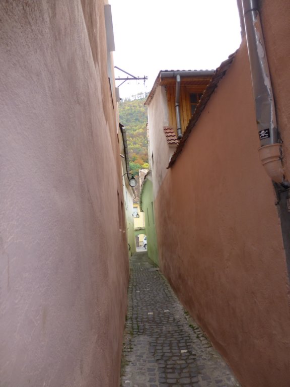 stradasforiitheropestreetbrasov9.jpg