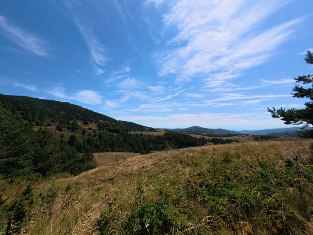 photo.jpg