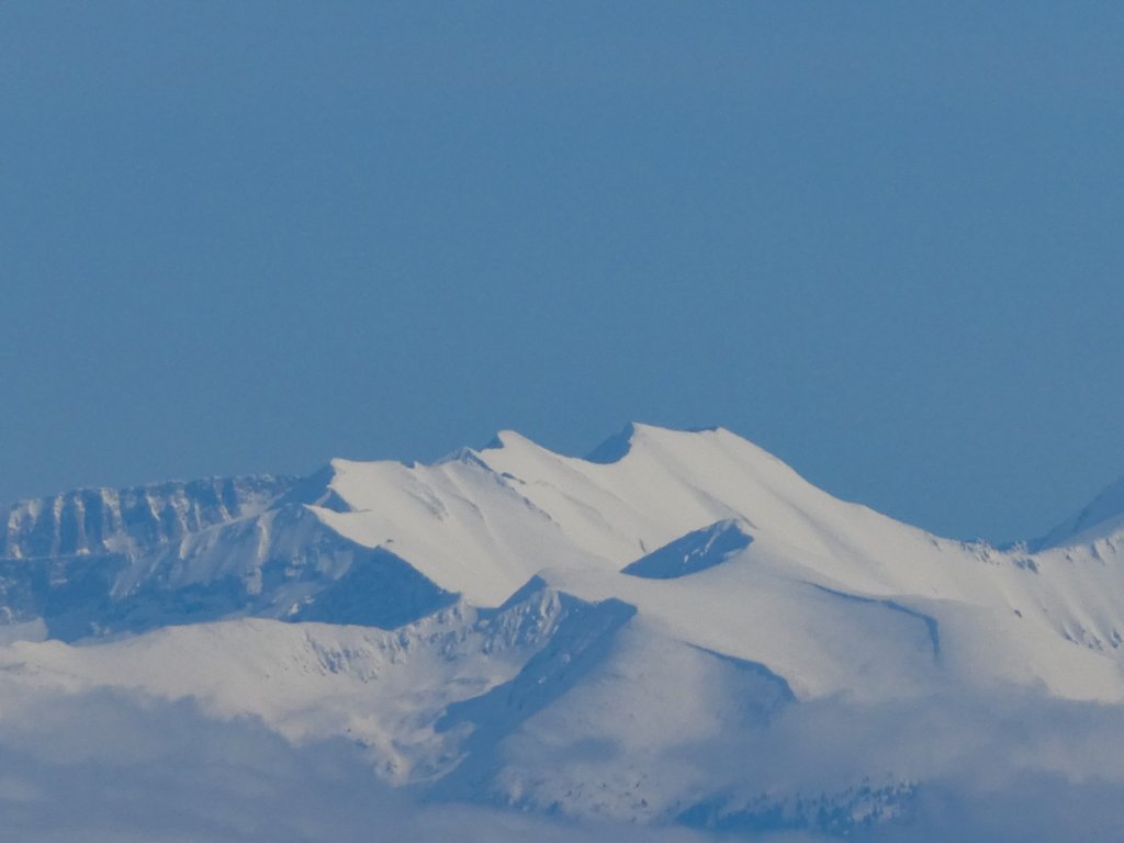 photo97.jpg