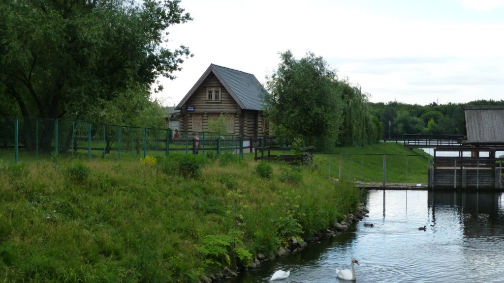 photo28.jpg