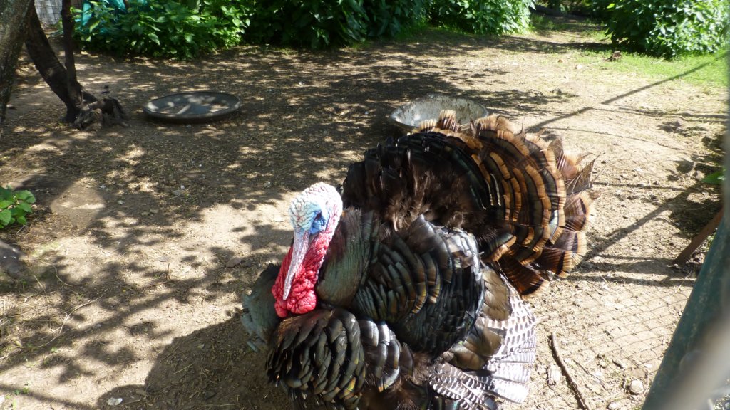 photo78.jpg