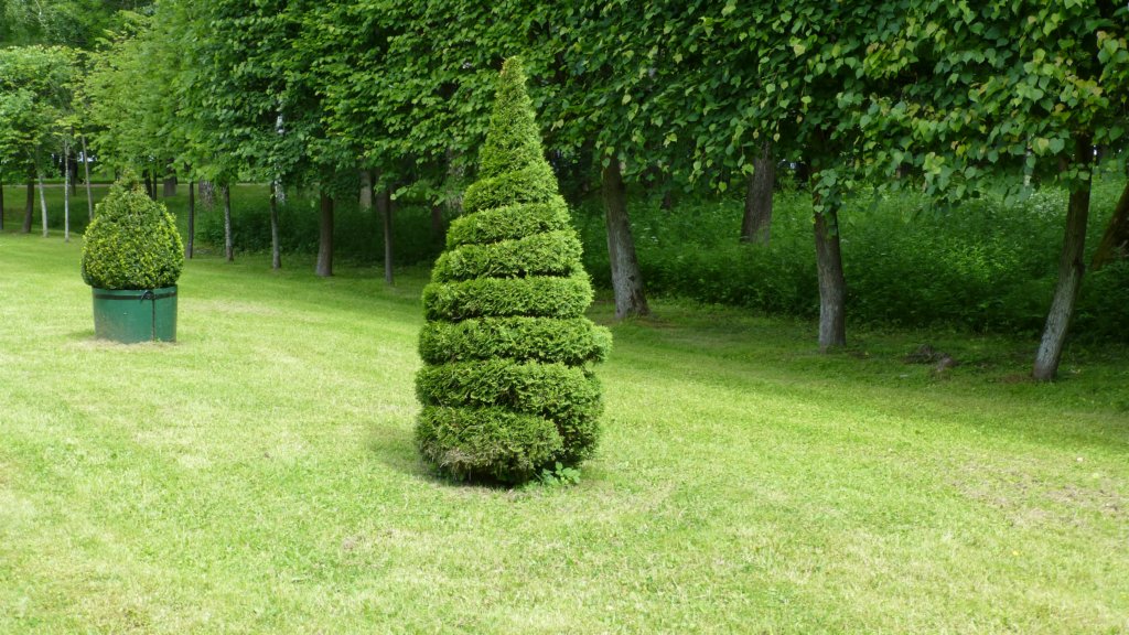 photo113.jpg