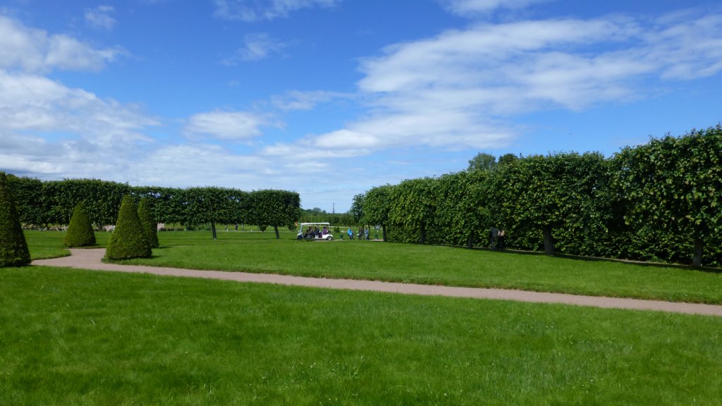 photo80.jpg