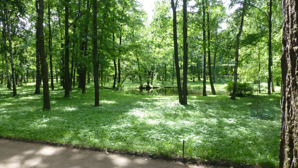 photo95.jpg