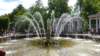 photo99_small.jpg