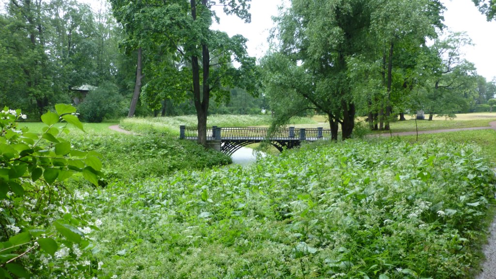 photo68.jpg