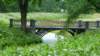 photo69_small.jpg