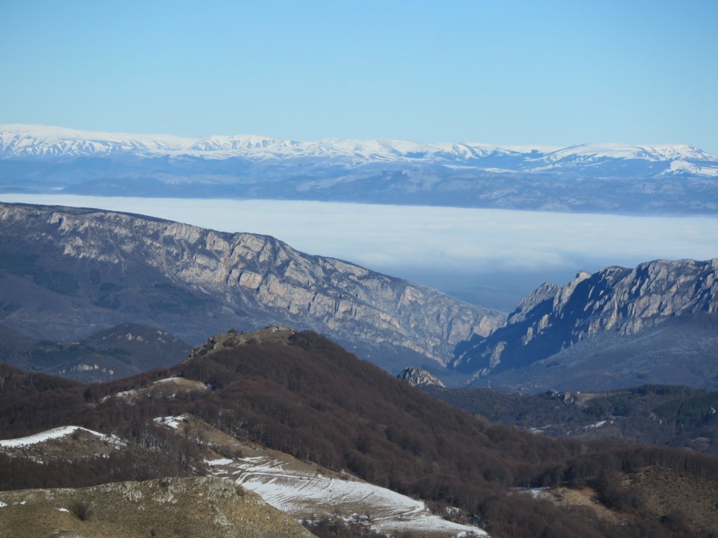 photo36.jpg