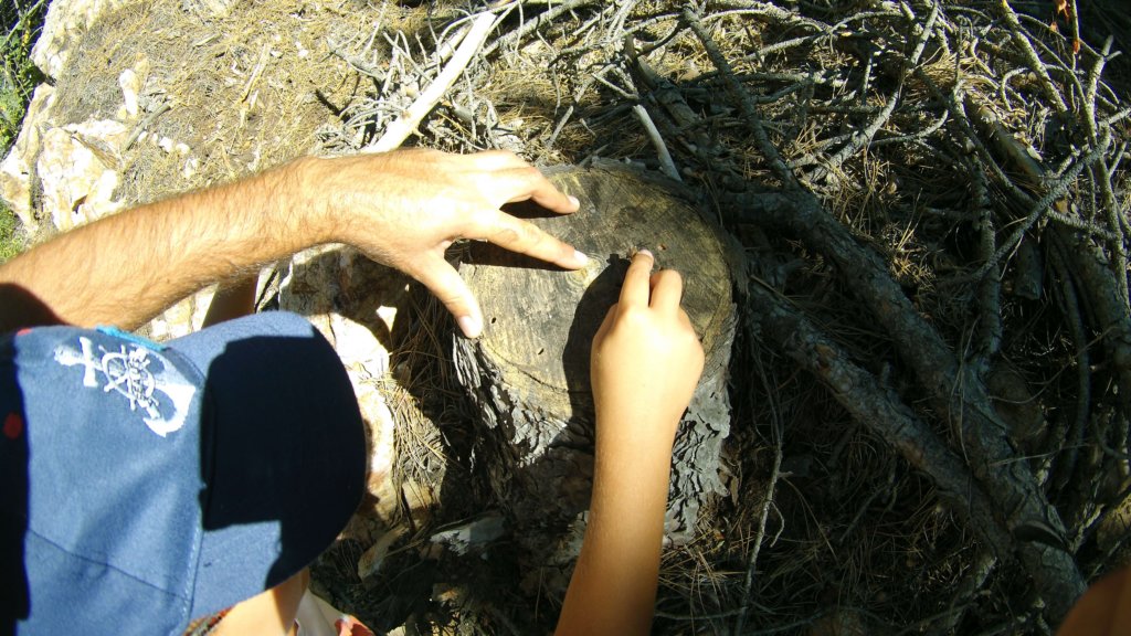 photo7.jpg