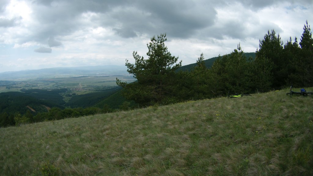 photo59.jpg