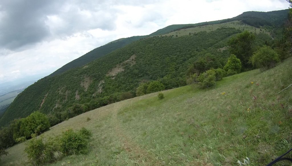 photo66.jpg