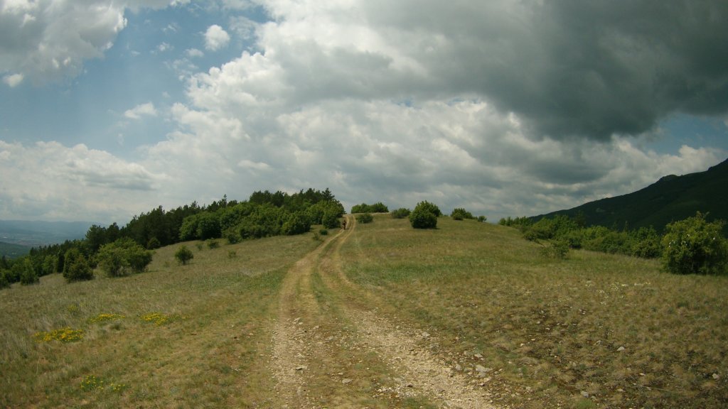 photo77.jpg